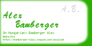 alex bamberger business card